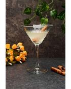 Set de 4 vasos de martini transparentes