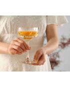 Lot de 4 verres à martini transparents - 260 ml