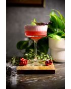 Lot de 4 verres à martini transparents - 260 ml