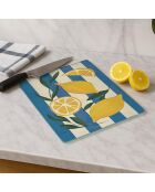 Mehrfarbiges Schneidebrett - 20x30 cm