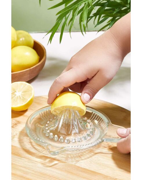 Écrase-citron transparent - 16,5x16,5 cm