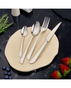 Menagères 24 pièces Théa argent