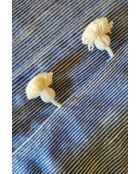 Nappa scozzese berbera a righe blu-250x150cm