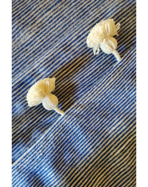 Nappa scozzese berbera a righe blu-250x150cm