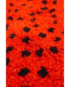 Tappeto della collezione Them - 220x175cm