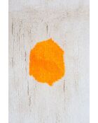 Tappeto della collezione Timeless Them - 240x165cm