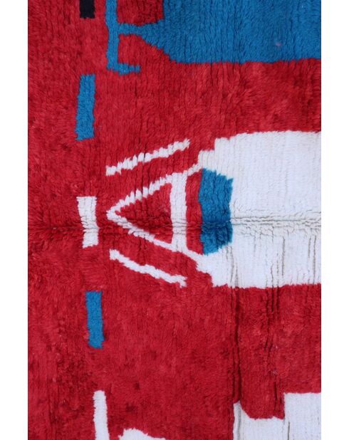 Tappeto della collezione Them - 248x155cm