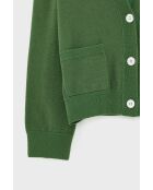 Gilet in misto lana Gakkin Prairie