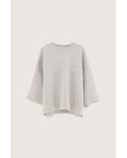 Sudadera gris Farlol H.