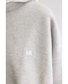 Sudadera gris Farlol H.
