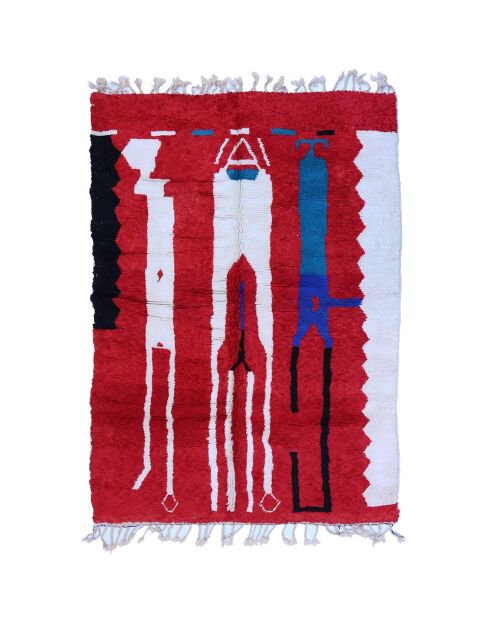 Tappeto della collezione Them - 248x155cm