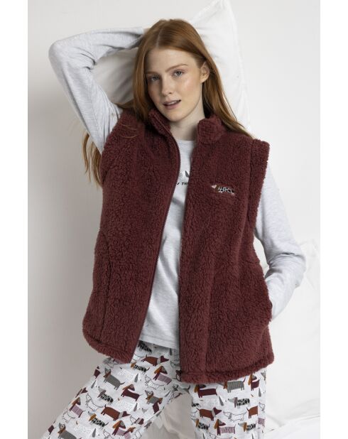 Chaleco Dog Home D braune Weste