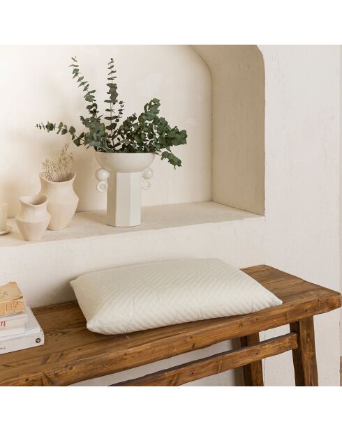 Almohada viscoelástica Serenity, 60 x 60 cm