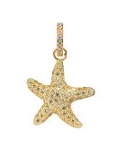 Pendentif étoile Doré