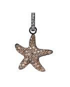 Pendentif étoile Brun