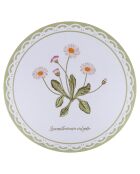 6 manteles individuales botánicos multicolores - D.40 cm