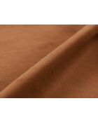 Cama cómoda Cameron de terciopelo miel con cabecero - 226x206x95 cm