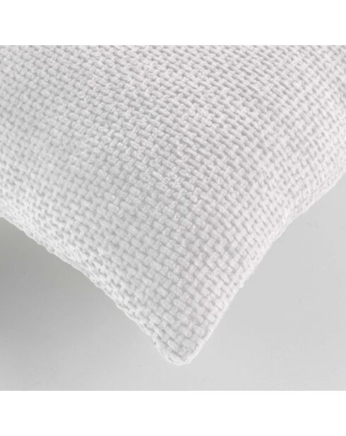 Cuscino sfoderabile Leo Beige (45 x 45 cm), velluto di ciniglia