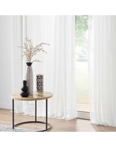 Carlino naturale trasparente con occhielli ad ampia larghezza (400 x 240 cm), velo strutturato