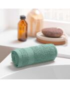 Elegance Celadon gastendoek (30 x 50 cm), 100% stevig katoen