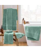 Elegance Celadon gastendoek (30 x 50 cm), 100% stevig katoen