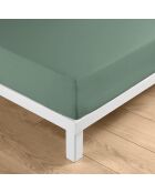 Drap housse Linella sauge