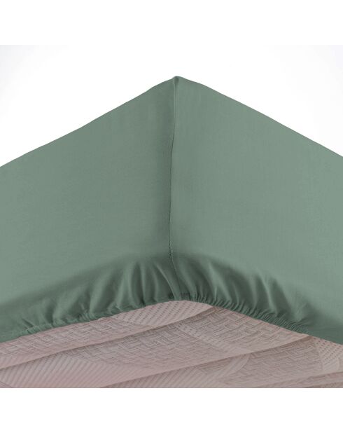 Drap housse Linella sauge
