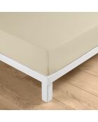 Drap housse Linella ivoire