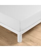 Drap housse Linella blanc