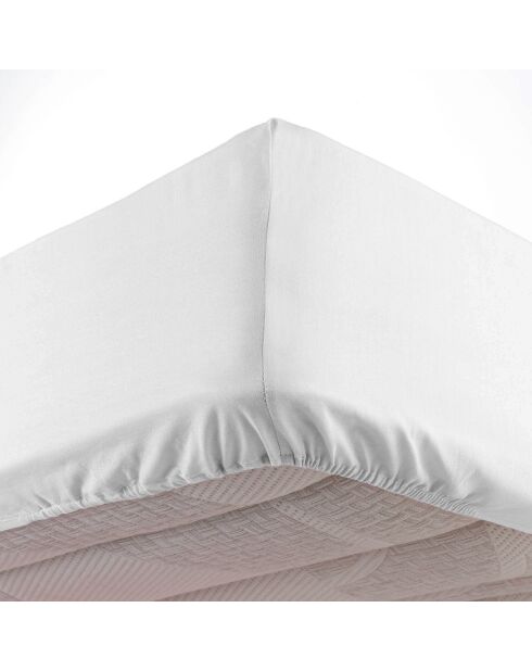 Drap housse Linella blanc