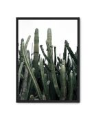 Peinture cactus III - 50x70 cm