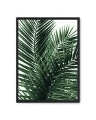 Peinture des feuilles de palmier - 50x70 cm