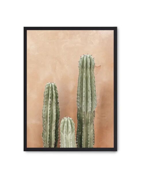 Sfondo in terracotta con cactus per dipingere - 50x70 cm