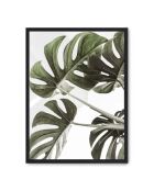 Peinture des feuilles de monstera - 50x70 cm