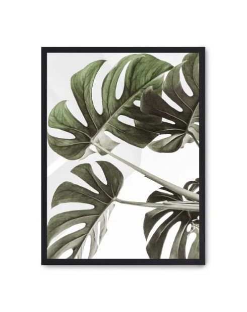 Peinture des feuilles de monstera - 50x70 cm