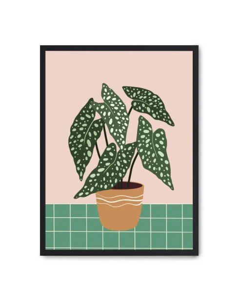 Trama di pittura vegetale IV - 50x70 cm