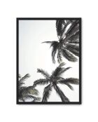 Dipingere le palme dal basso - 50x70 cm