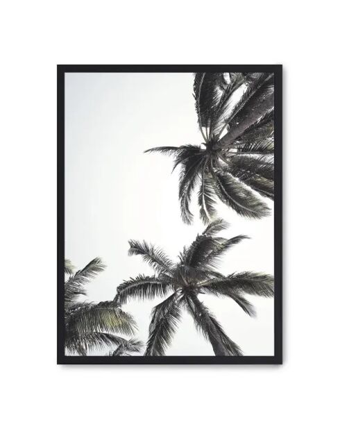 Dipingere le palme dal basso - 50x70 cm
