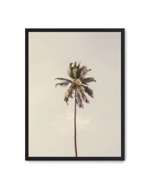 Palma e cielo dipinto III - 50x70 cm