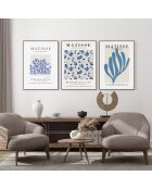 Set composto da tre cornici con Marco Roble - 50x70 cm