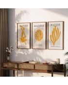 Set composto da tre cornici con Marco Roble - 50x70 cm