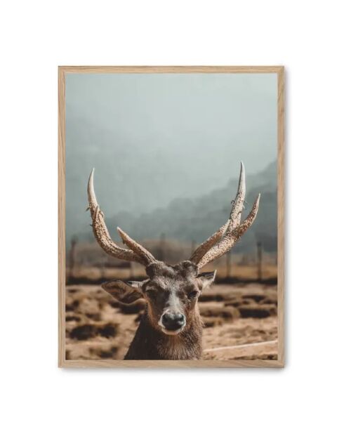 Dipinto con cervi - 50x70 cm