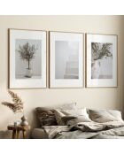 Set composto da tre cornici con Marco Roble - 50x70 cm