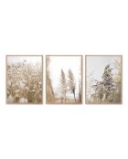 Set composto da tre cornici con Marco Roble - 50x70 cm