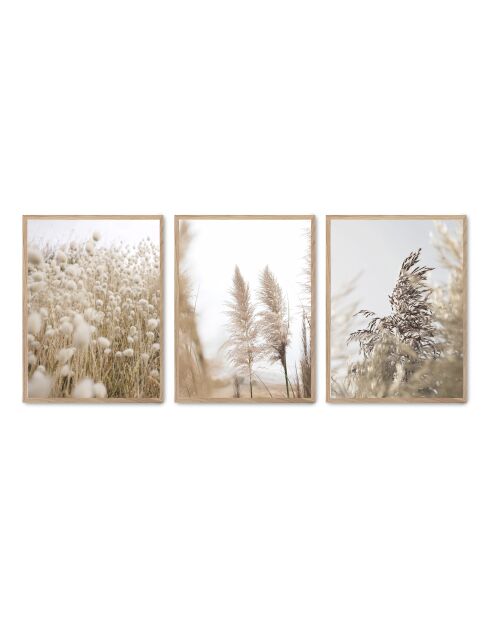 Set composto da tre cornici con Marco Roble - 50x70 cm