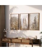 Set composto da tre cornici con Marco Roble - 50x70 cm