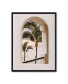 Schilderij van een palmboomboog - 50x70 cm