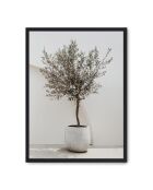 Dipinto Olive Perfection - 50x70 cm