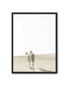 Pittura cammello I -50x70 cm