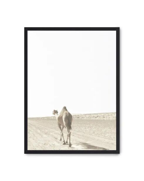 Pittura cammello I -50x70 cm